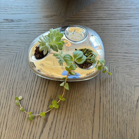 DROPS CATUS 3 HOLE planter